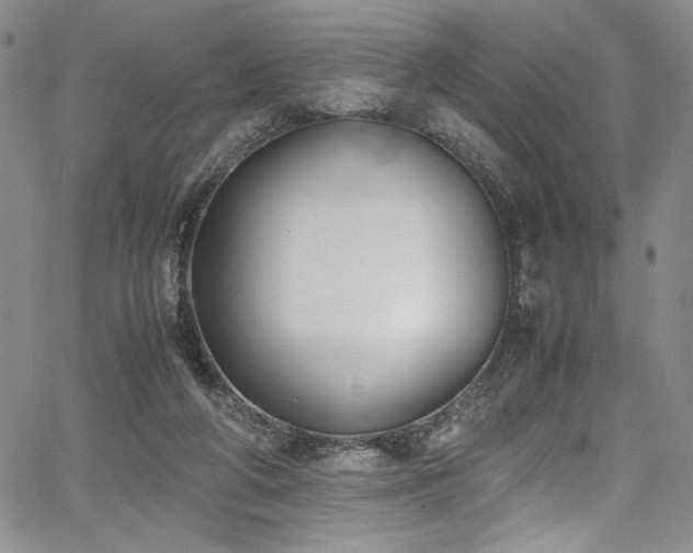 X0000067950210200604131444