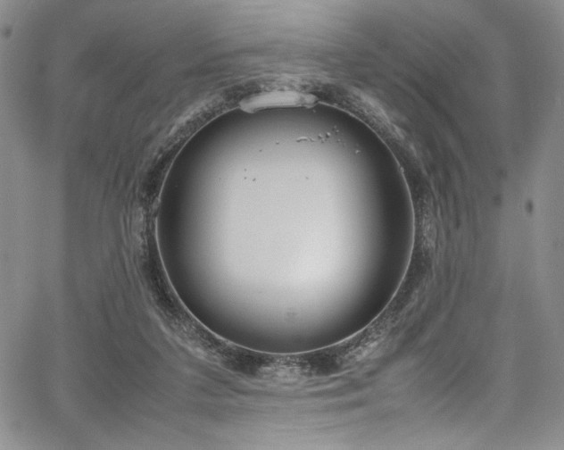 X0000067950211200604131444