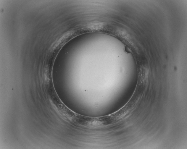 X0000067950212200604131444