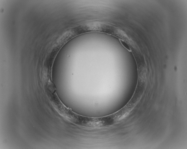 X0000067950213200604131444