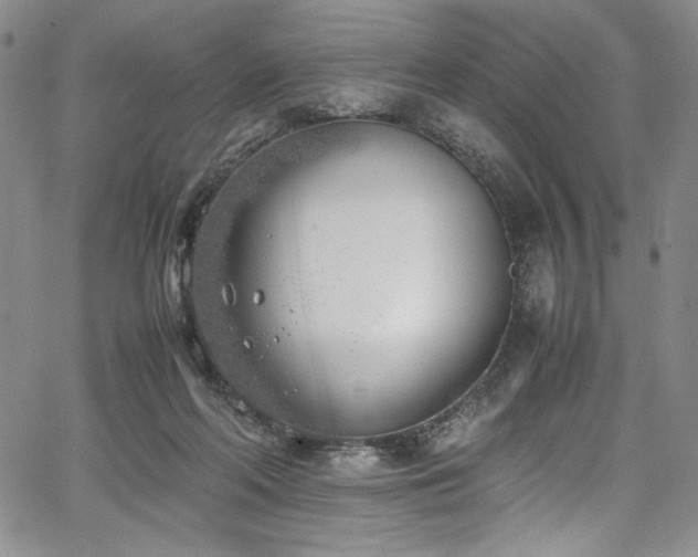 X0000067950214200604131444