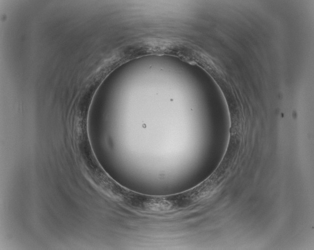 X0000067950215200604131444