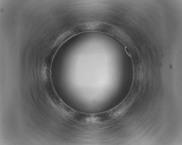 X0000067950216200604131444