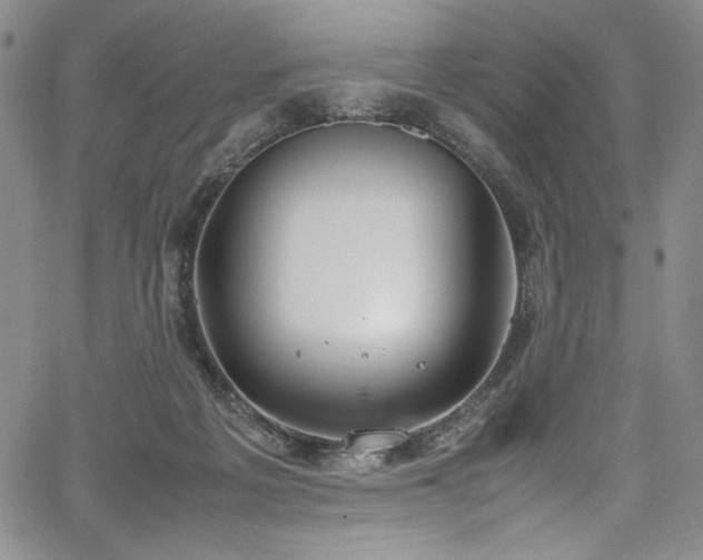 X0000067950217200604131444