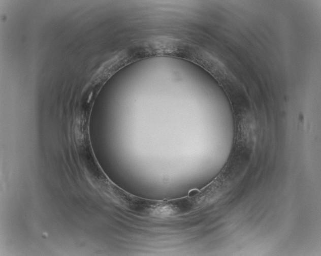 X0000067950218200604131444