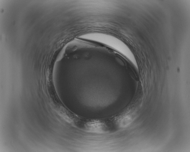 X0000067950219200604131444