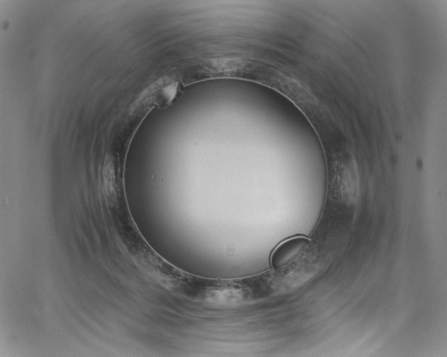 X0000067950220200604131444