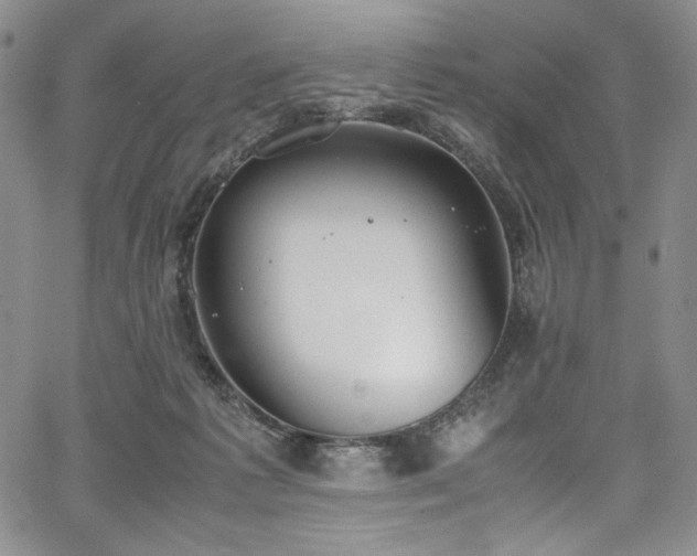 X0000067950221200604131444