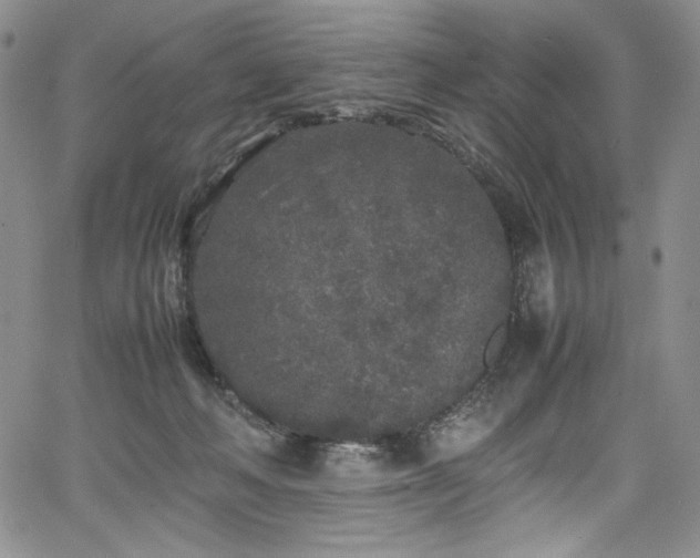 X0000067950222200604131443