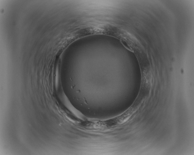 X0000067950223200604131443