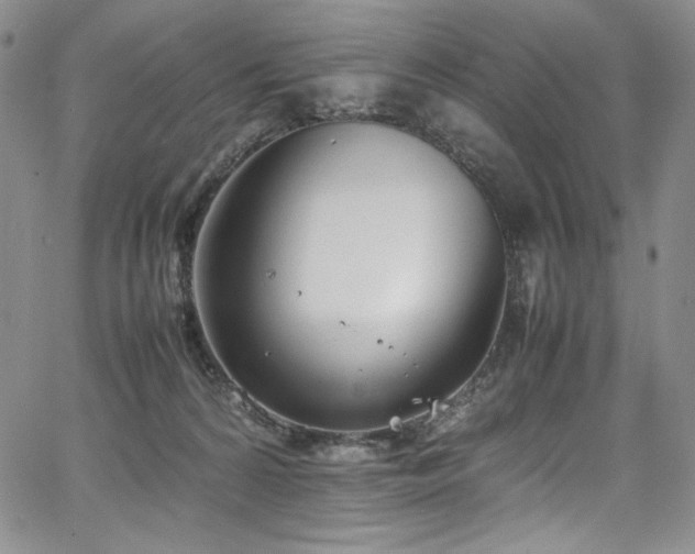 X0000067950224200604131443