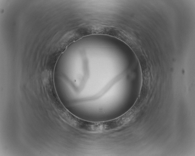 X0000067950225200604131443