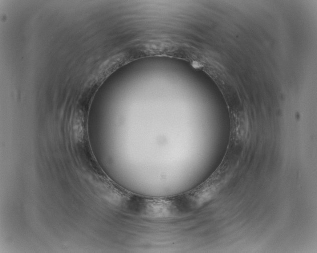 X0000067950226200604131443