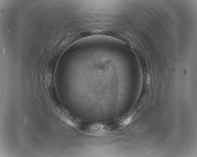 X0000067950227200604131443