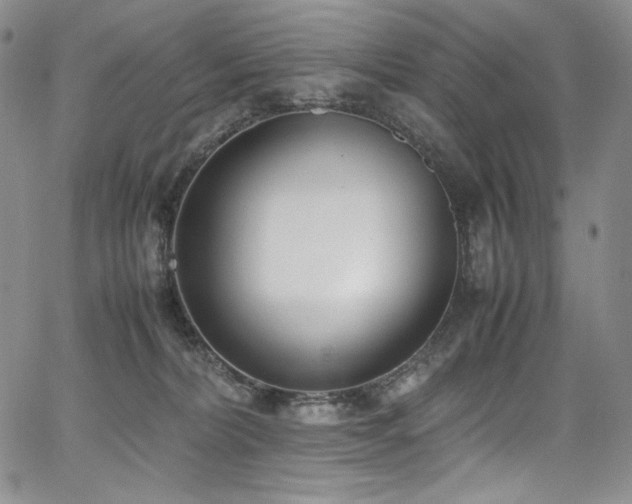 X0000067950228200604131443