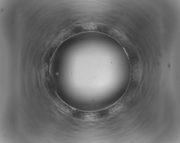 X0000067950229200604131443