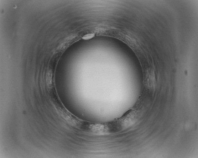 X0000067950230200604131443