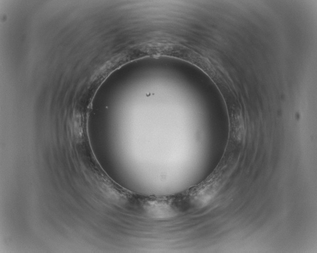 X0000067950232200604131443