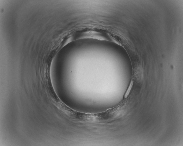 X0000067950233200604131443