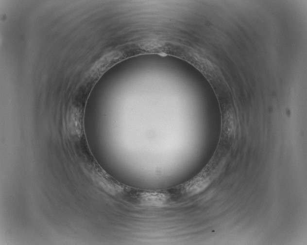 X0000067950234200604131443