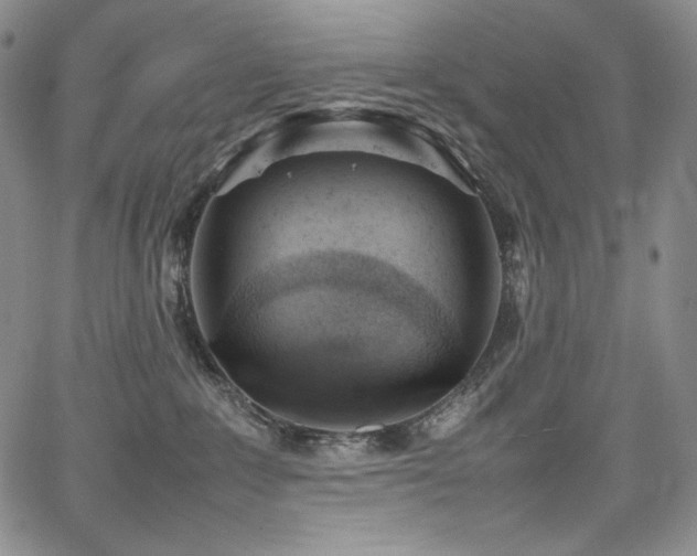 X0000067950235200604131443