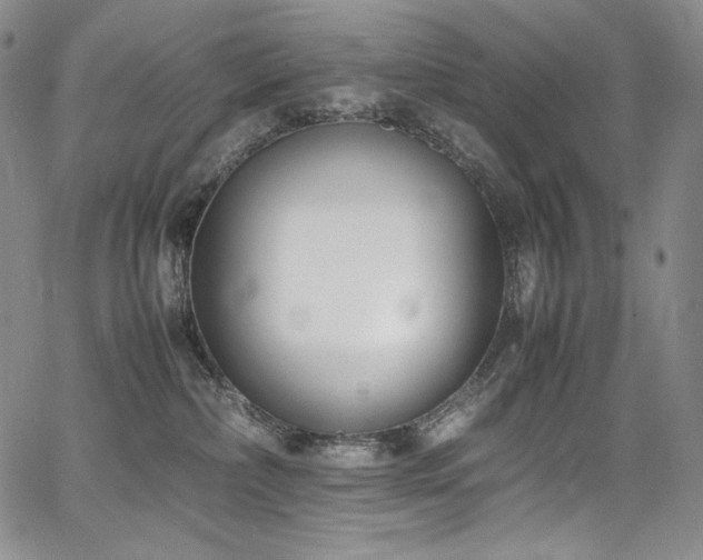 X0000067950236200604131443