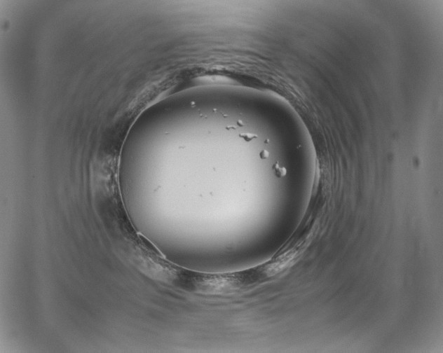 X0000067950237200604131443