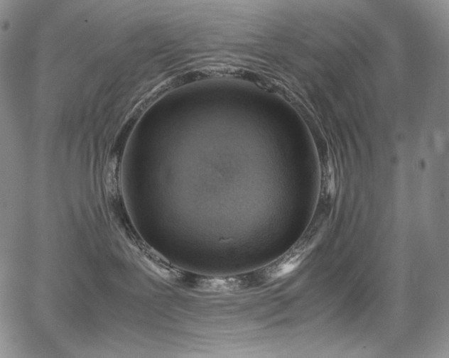 X0000067950239200604131443