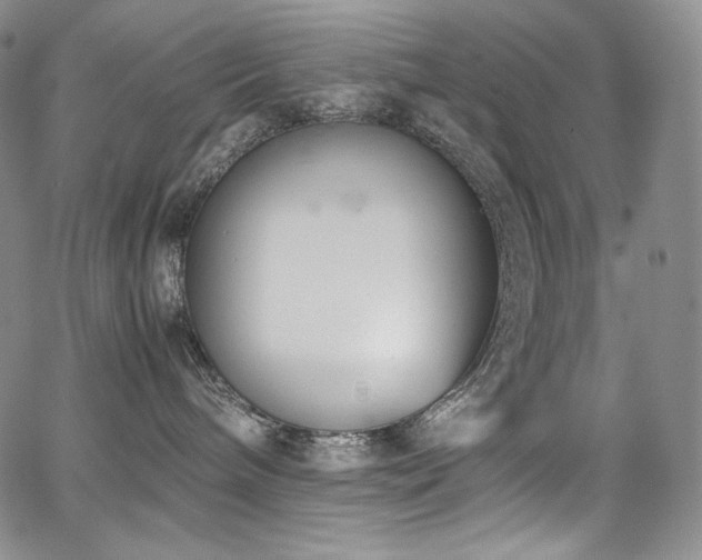 X0000067950240200604131443