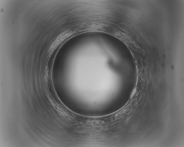 X0000067950242200604131442