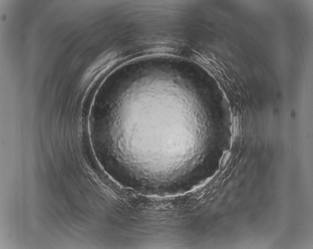 X0000067950243200604131442