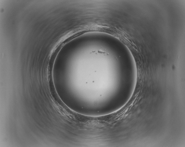 X0000067950244200604131442