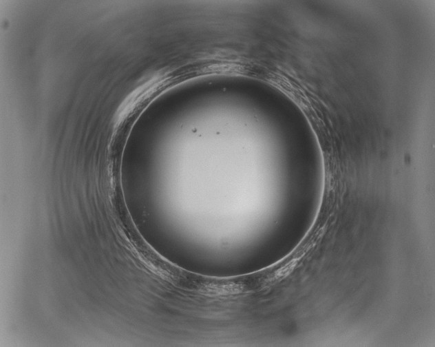 X0000067950245200604131442