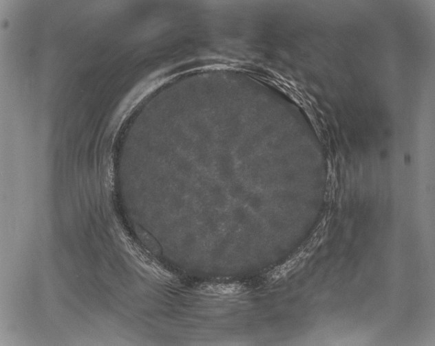 X0000067950247200604131443