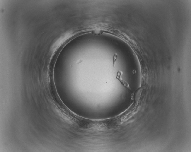 X0000067950248200604131443