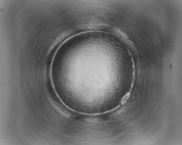 X0000067950250200604131443