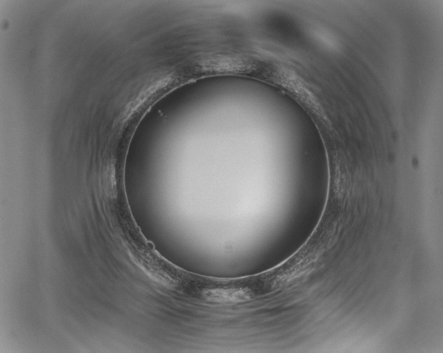 X0000067950251200604131443