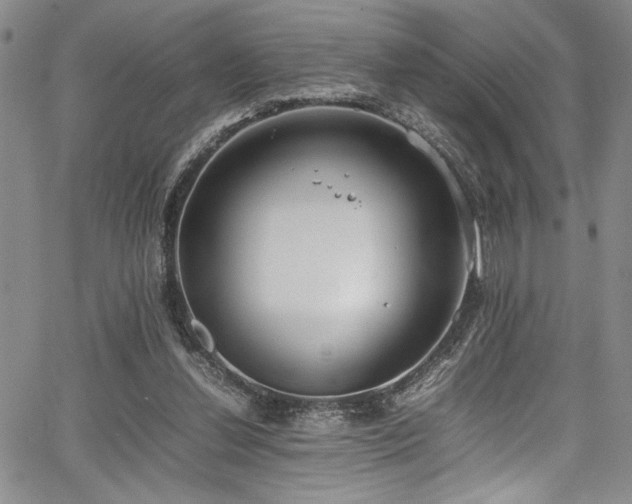 X0000067950252200604131443