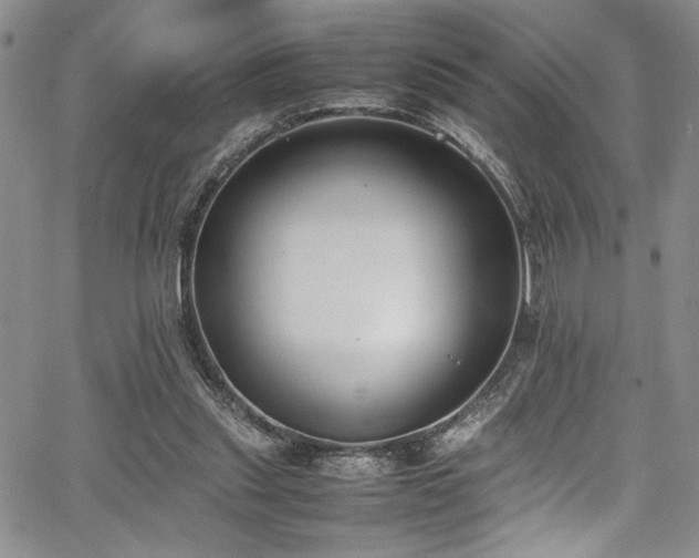 X0000067950253200604131443