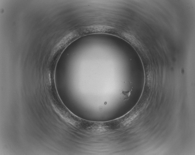 X0000067950254200604131443