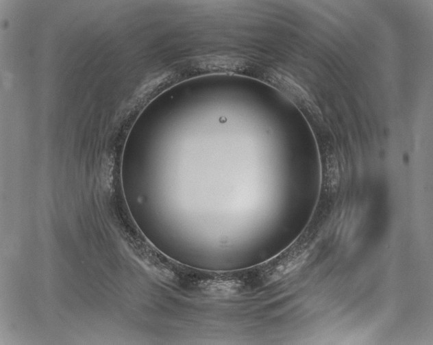 X0000067950255200604131443