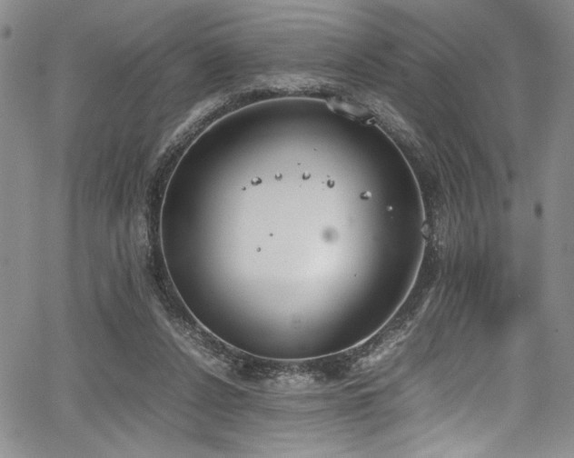 X0000067950256200604131443