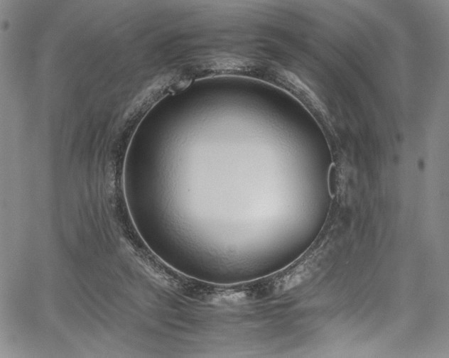 X0000067950257200604131443