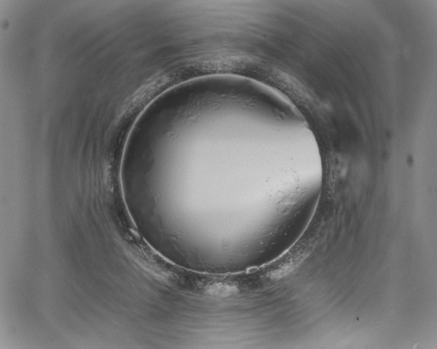 X0000067950258200604131443