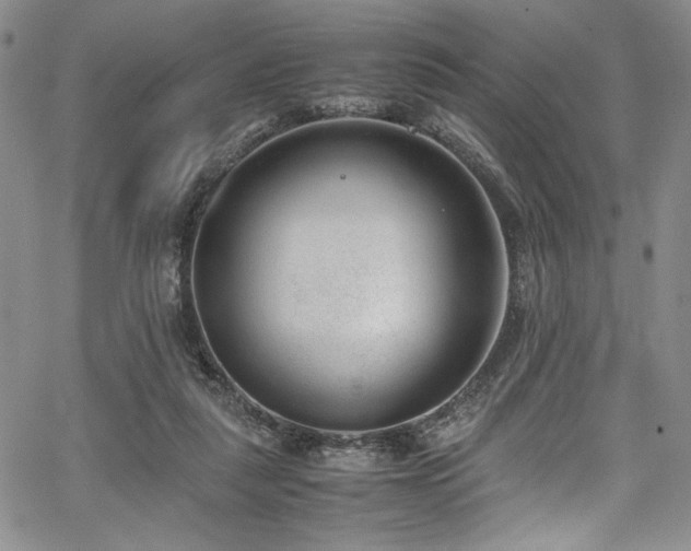 X0000067950259200604131443