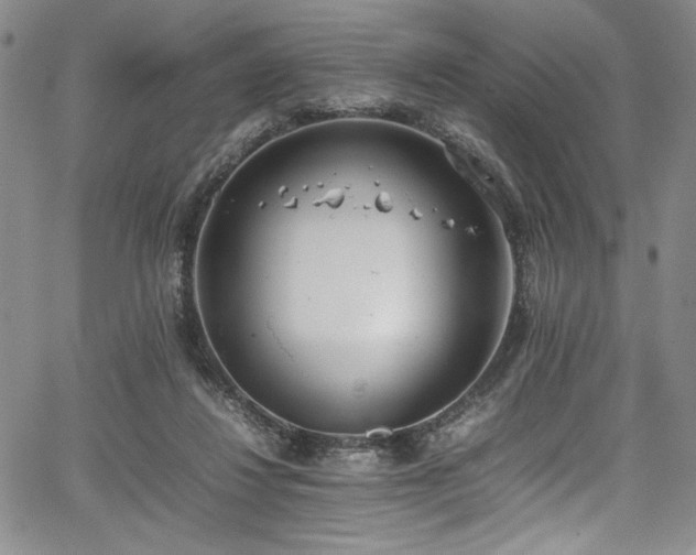 X0000067950260200604131443