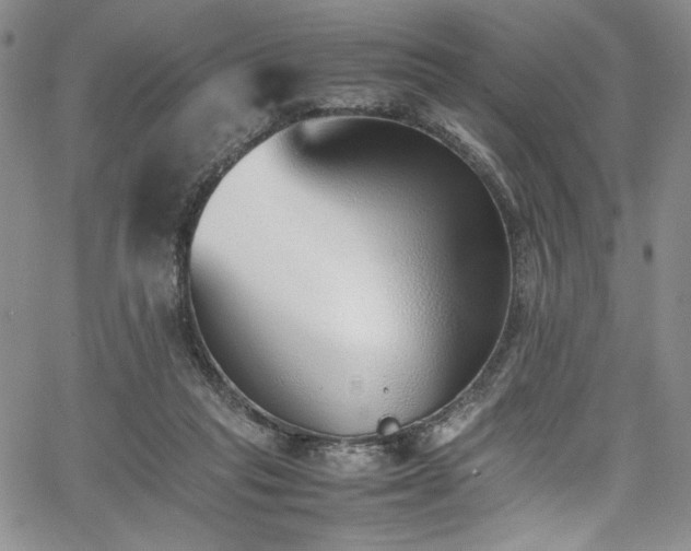 X0000067950261200604131443