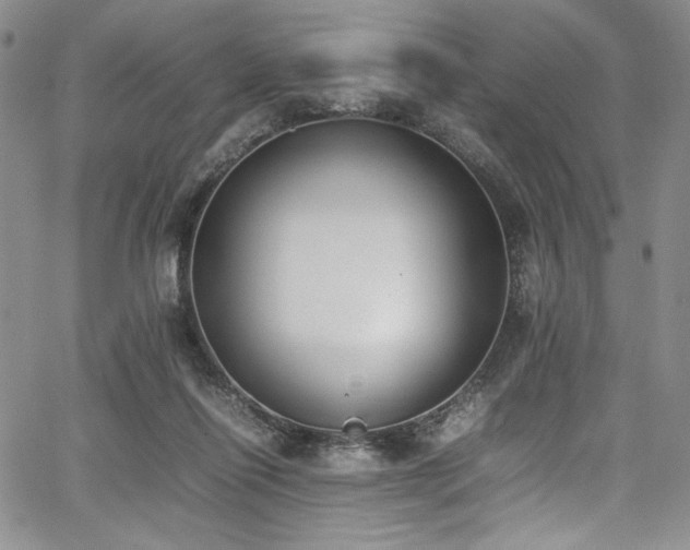 X0000067950262200604131443