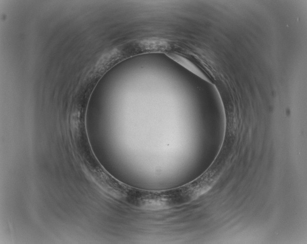 X0000067950263200604131443