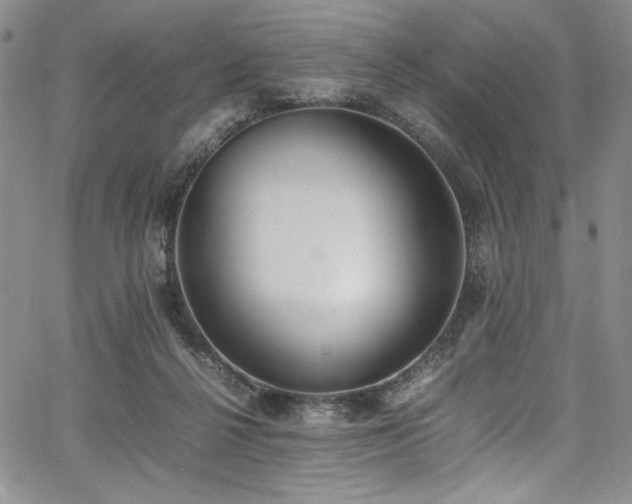 X0000067950264200604131443